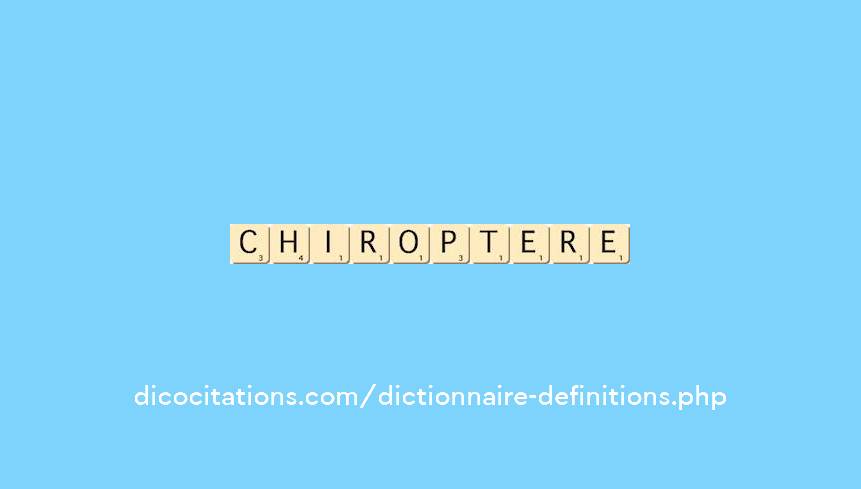 chiroptere chiroptere