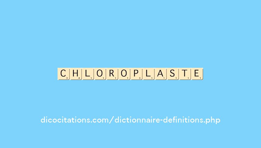 chloroplaste chloroplaste