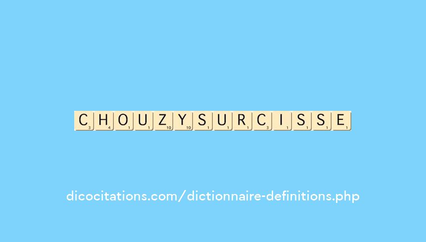 chouzy-sur-cisse