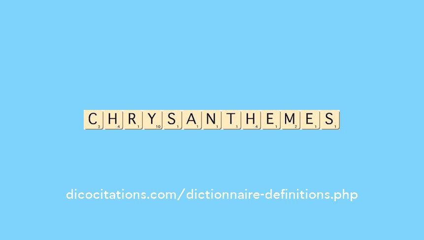 chrysanthemes chrysanthemes