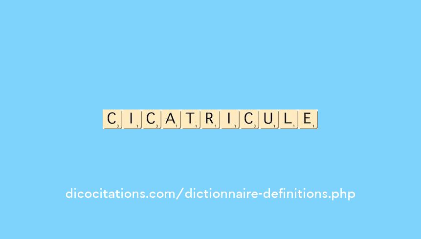 cicatricule