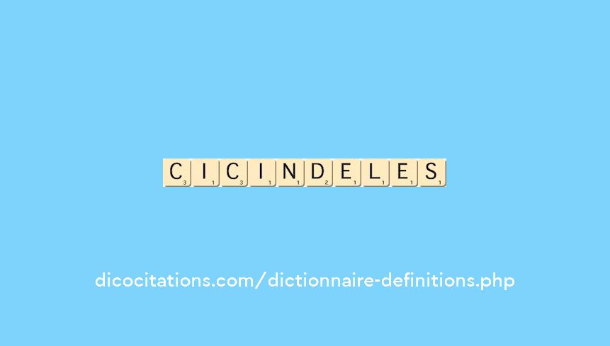 cicindeles cicindeles