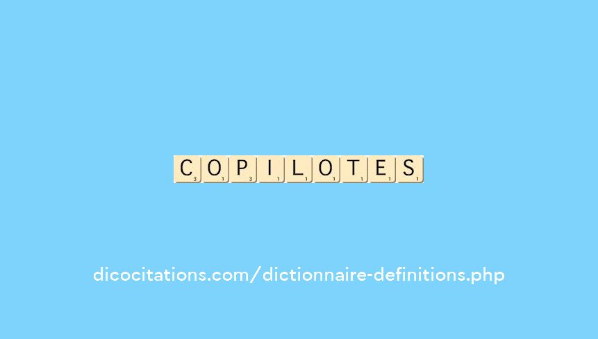 co-pilotes co-pilotes
