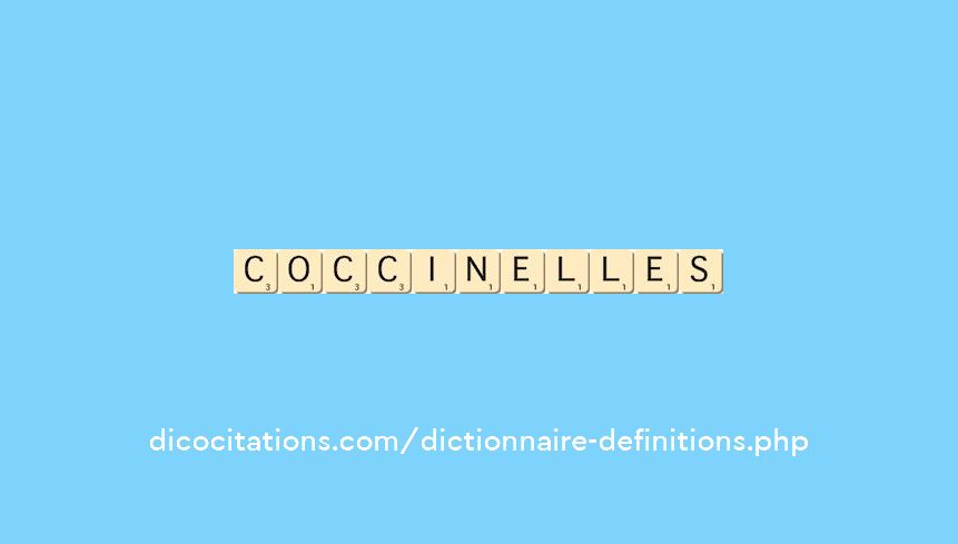 coccinelles coccinelles