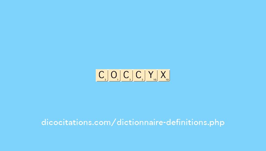 coccyx