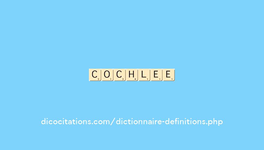 cochlee cochlee