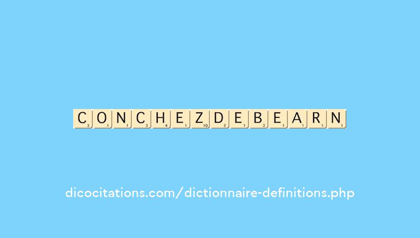 conchez-de-bearn