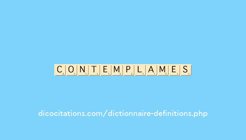 contemplames contemplames