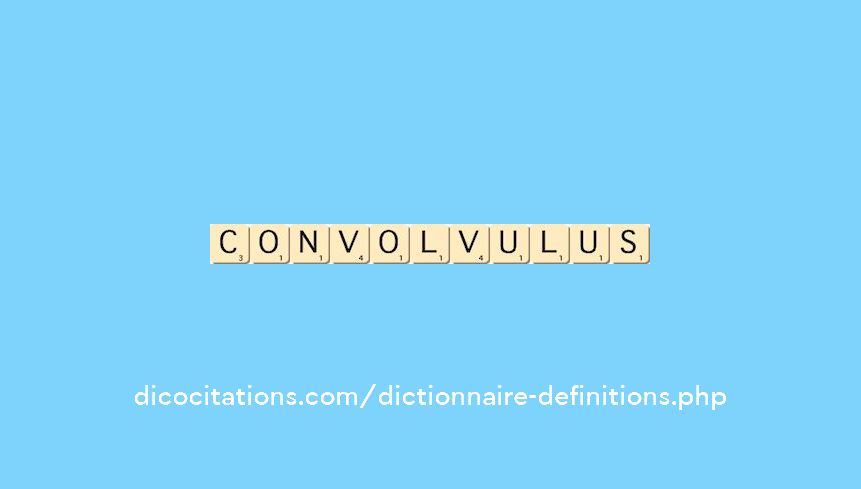 convolvulus