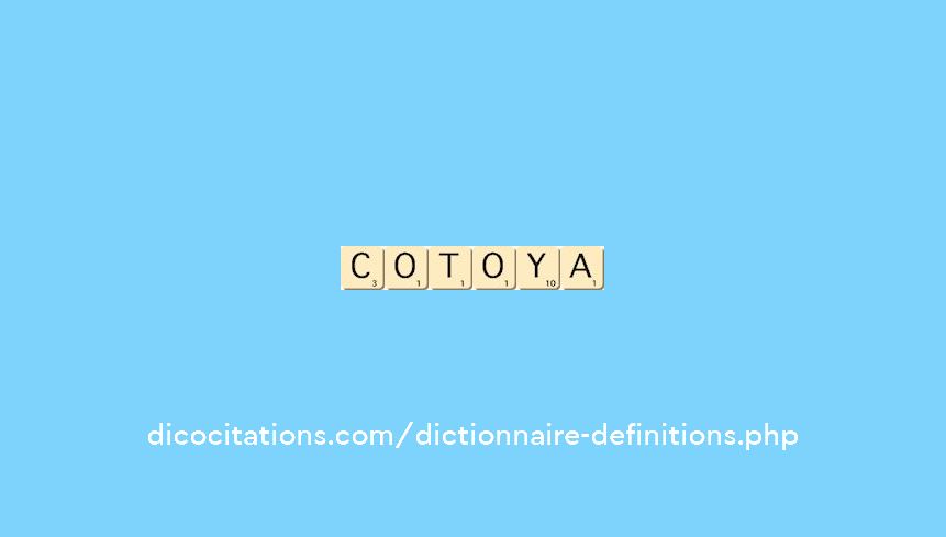 cotoya cotoya