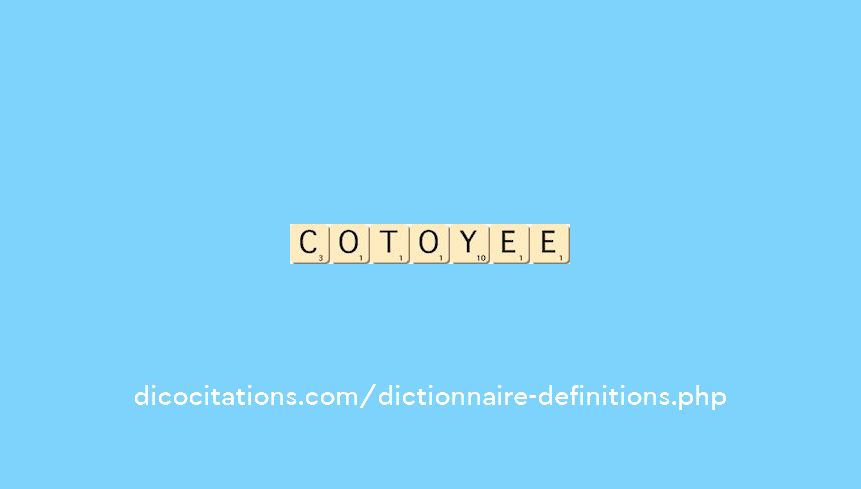 cotoyee cotoyee