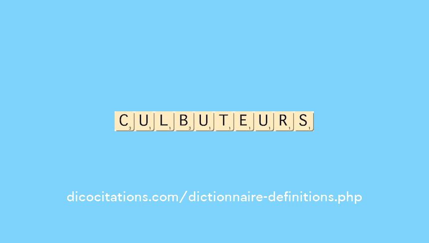 culbuteurs culbuteurs