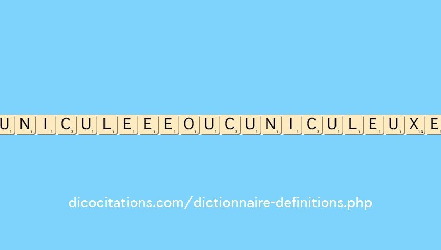 cunicule--ee-ou-cuniculeux--eu