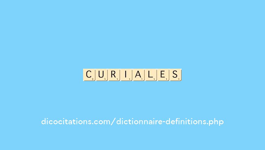 curiales curiales