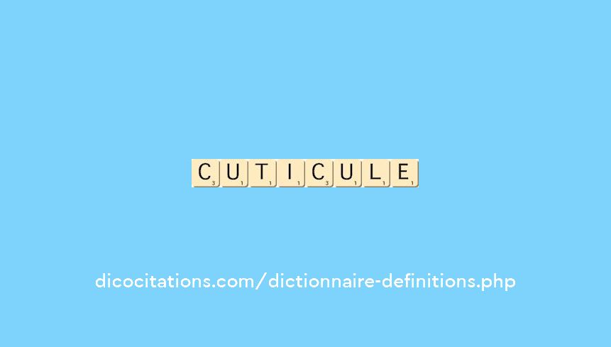 cuticule cuticule