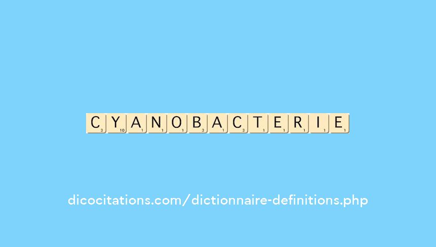 cyanobacterie cyanobacterie