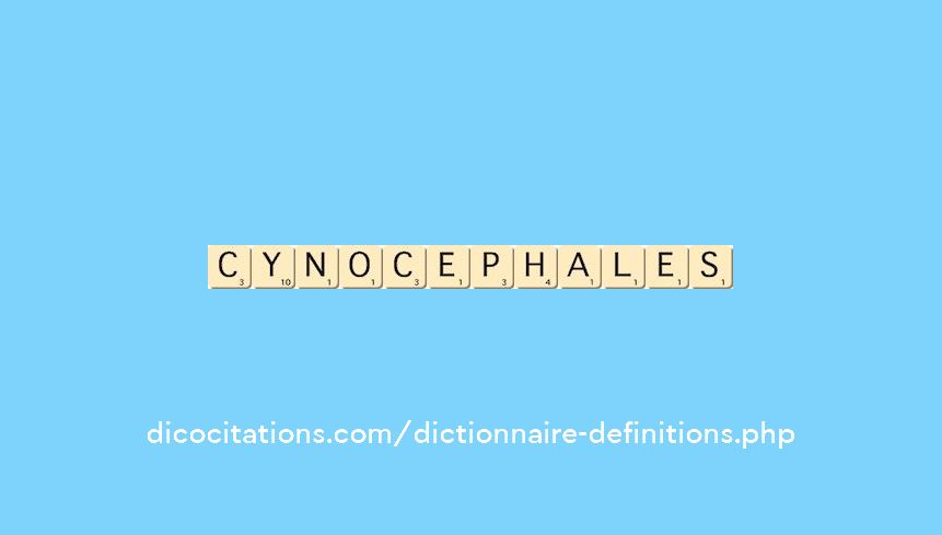 cynocephales cynocephales