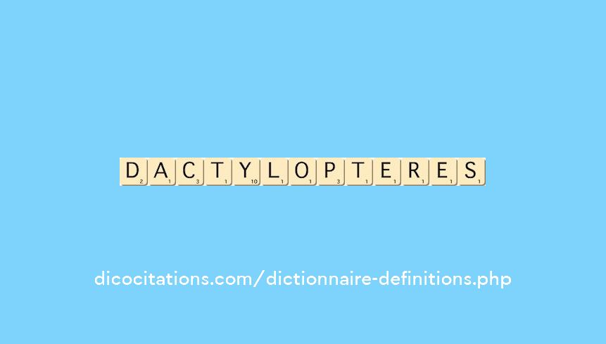 dactylopteres dactylopteres