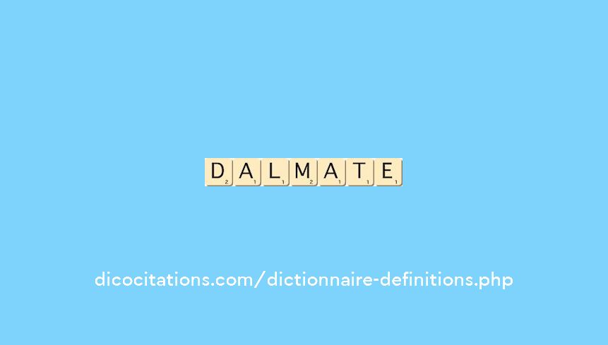 dalmate dalmate
