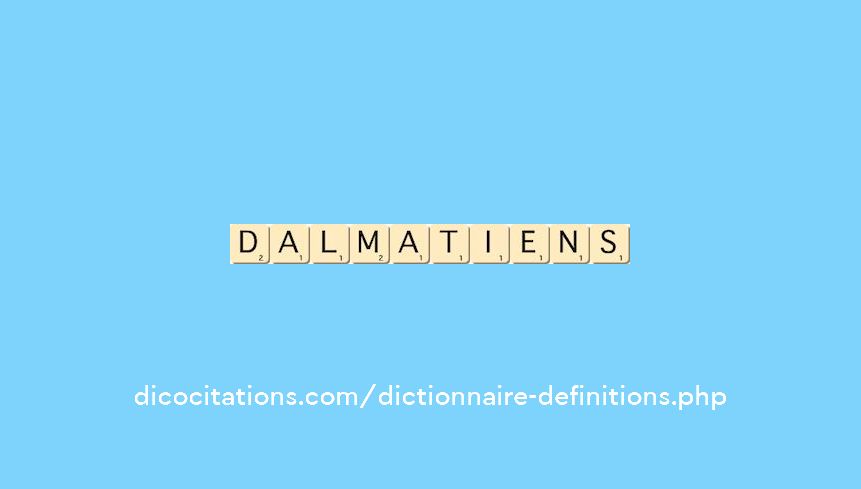 dalmatiens dalmatiens
