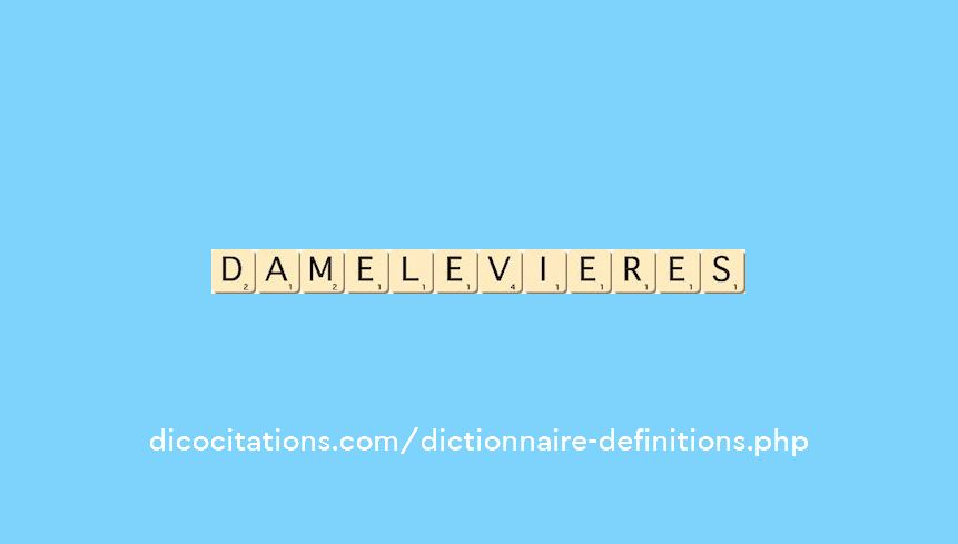damelevieres