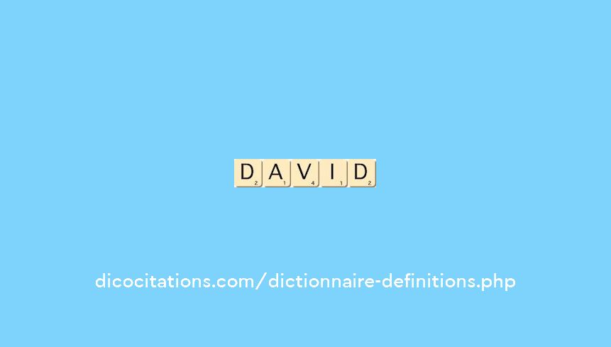 david david