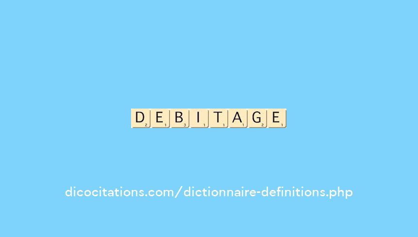 debitage debitage
