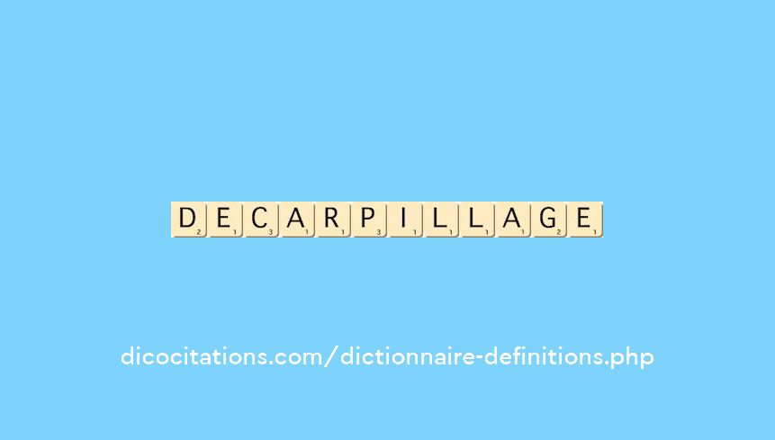 decarpillage decarpillage