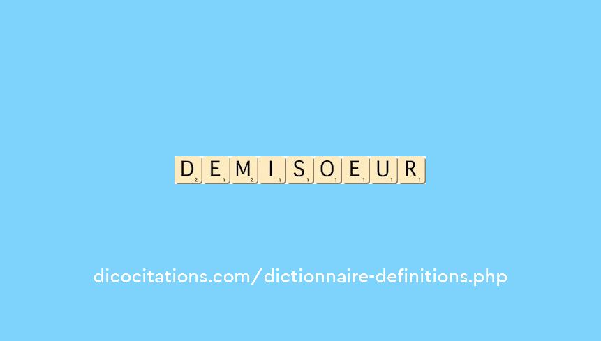 demi-soeur demi-soeur