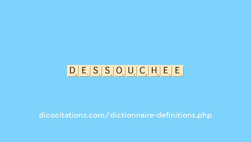 dessouchee dessouchee
