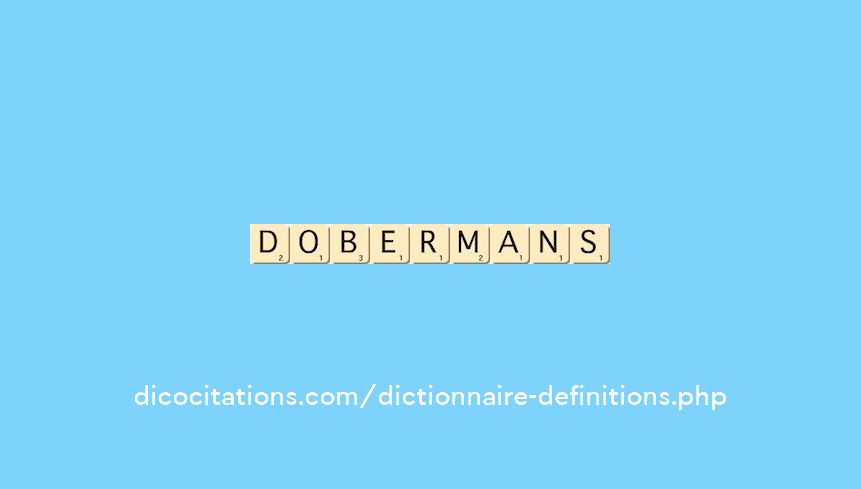 dobermans dobermans