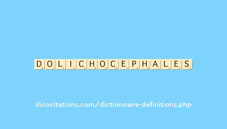 dolichocephales dolichocephales