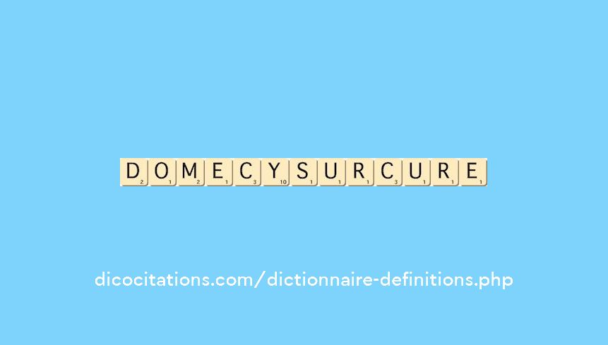 domecy-sur-cure