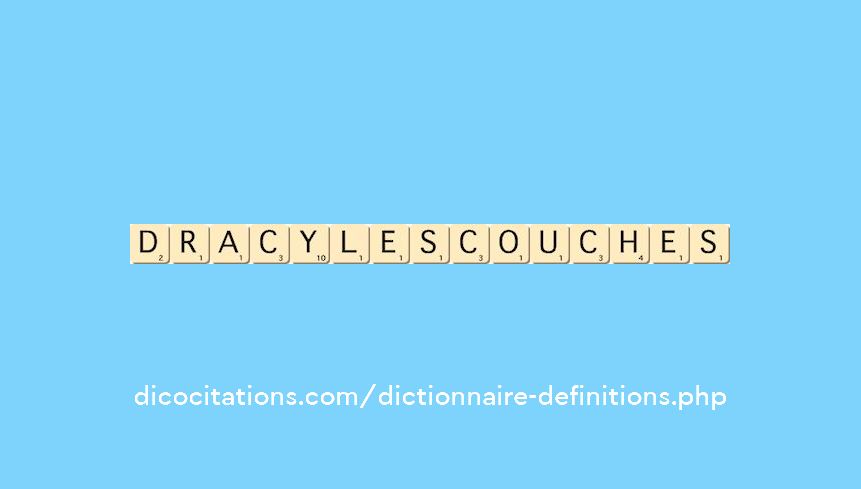 dracy-les-couches