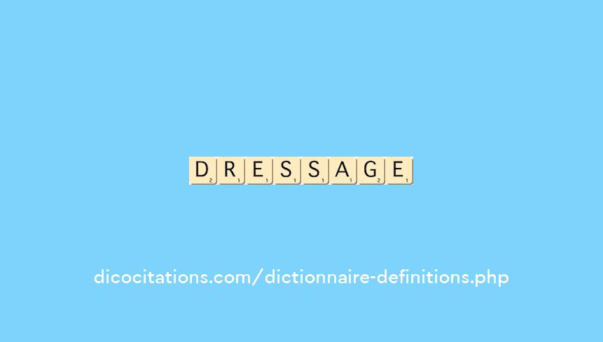 dressage dressage