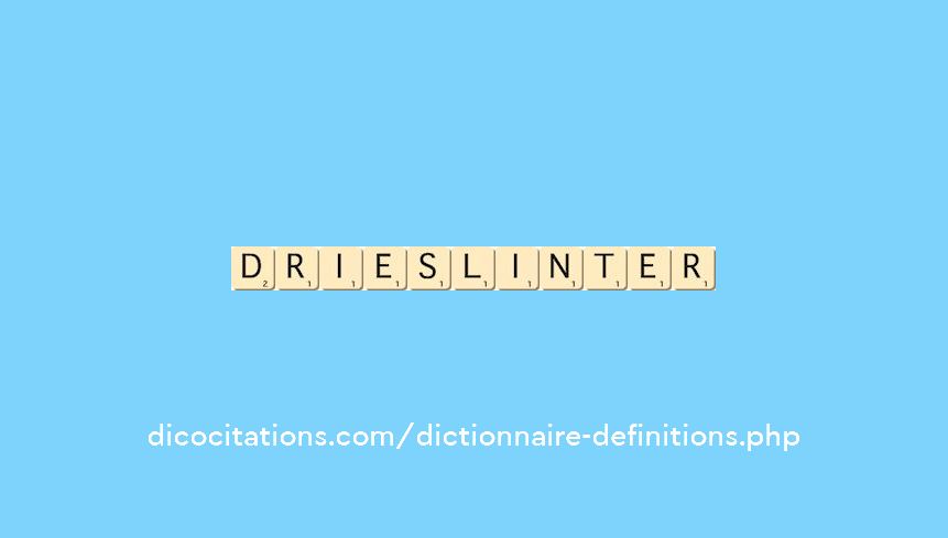 drieslinter drieslinter