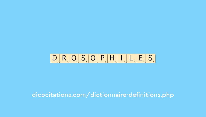 drosophiles