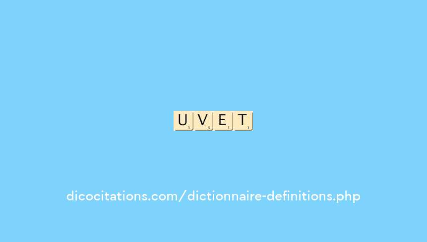 duvet