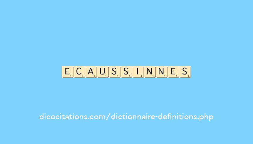 ecaussinnes ecaussinnes