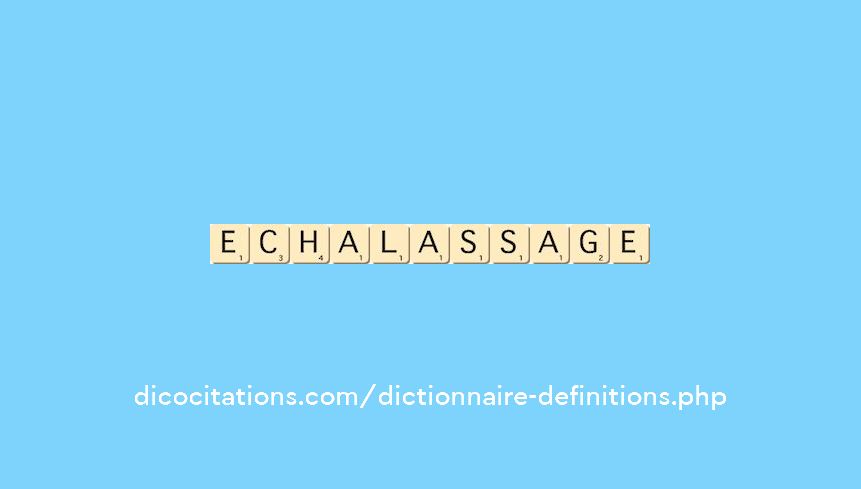 echalassage