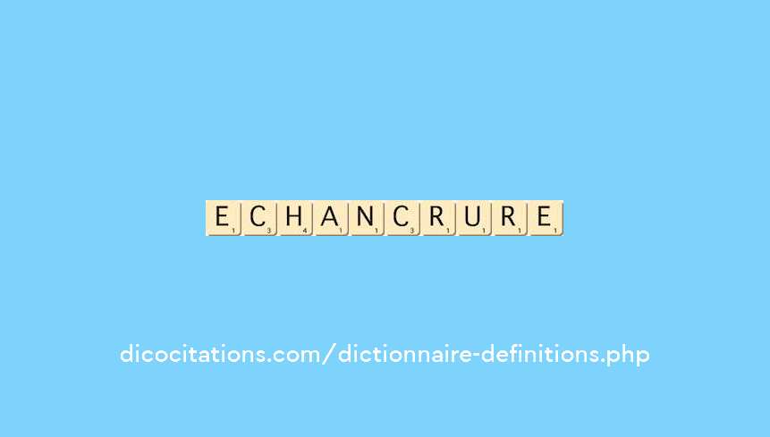 echancrure echancrure