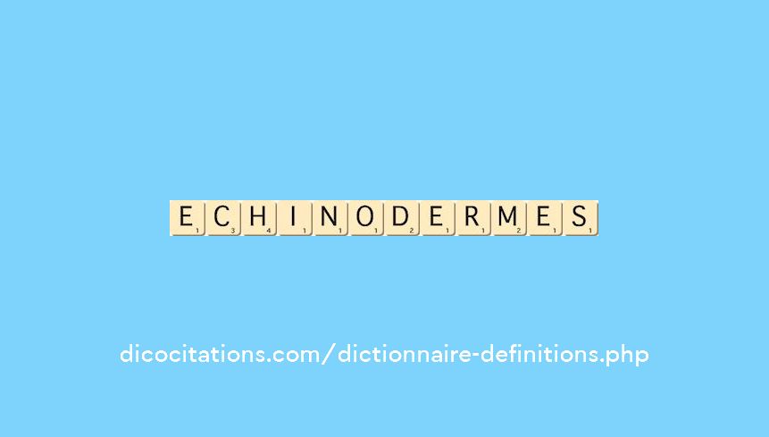 echinodermes echinodermes