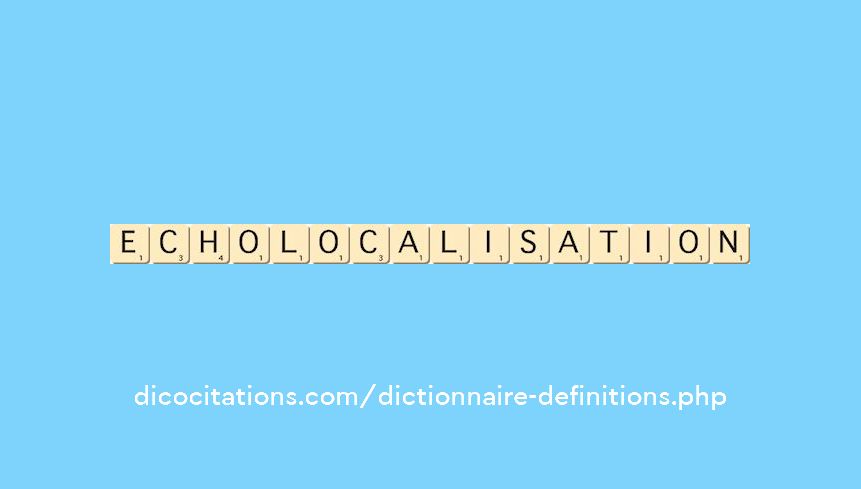echolocalisation