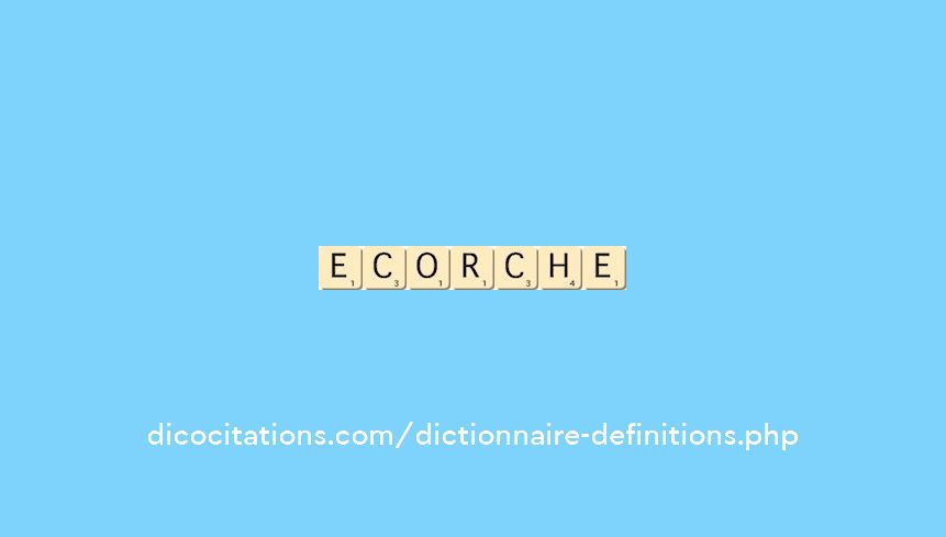 ecorche ecorche