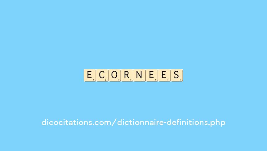 ecornees ecornees
