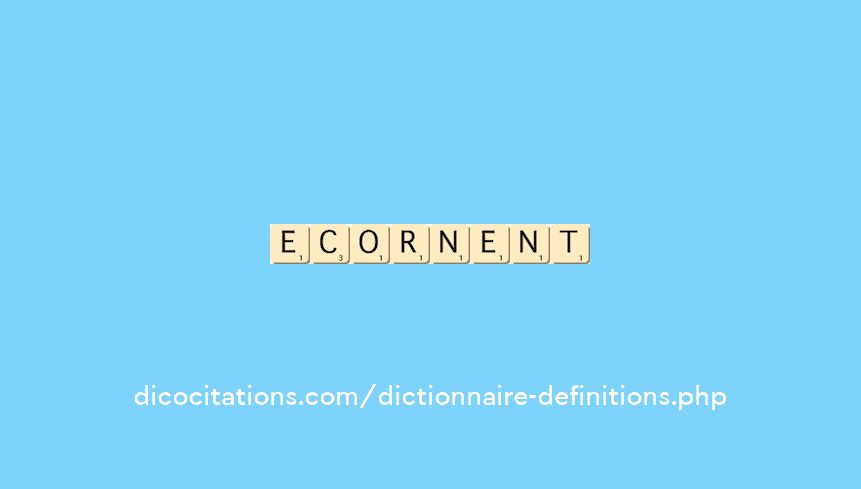 ecornent ecornent