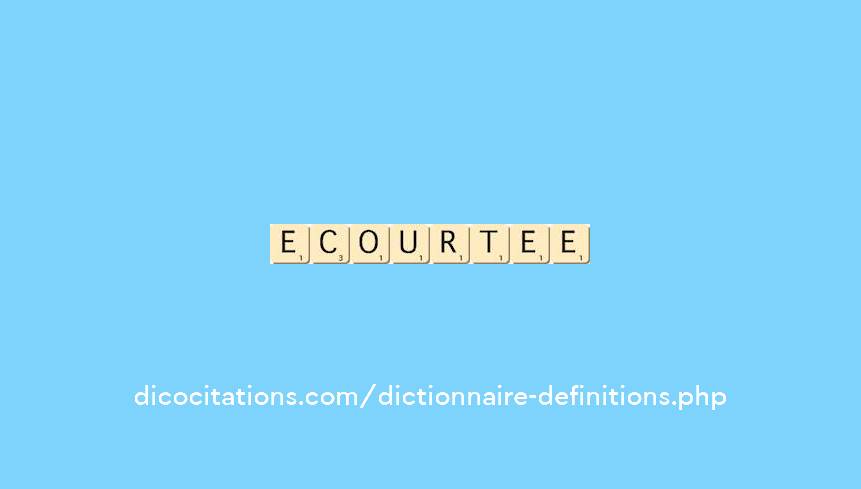 ecourtee ecourtee