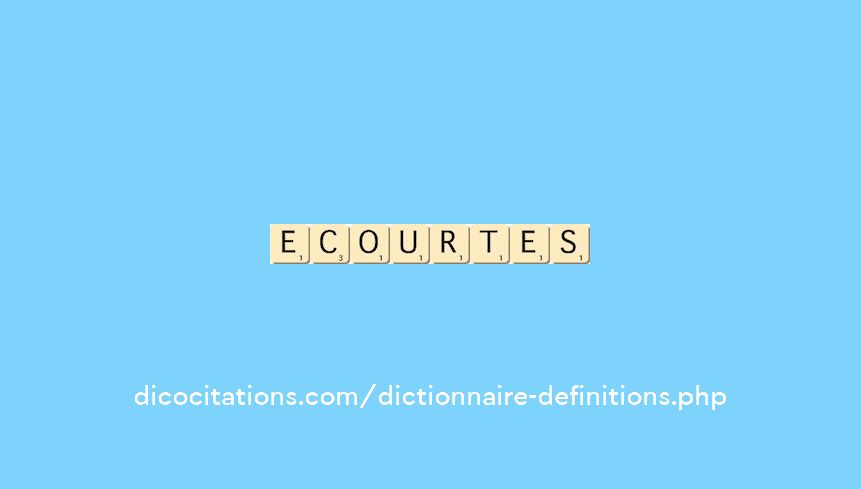 ecourtes ecourtes