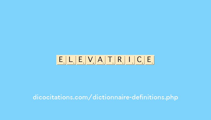 elevatrice elevatrice