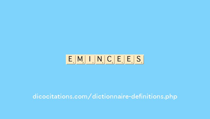 emincees emincees